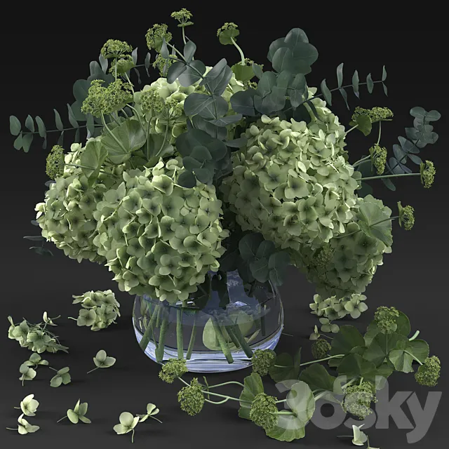 Hydrangea 3DModel