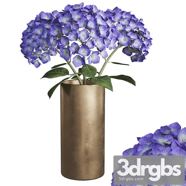 Hydrangea Branches In a Vase 02 3D Model Free