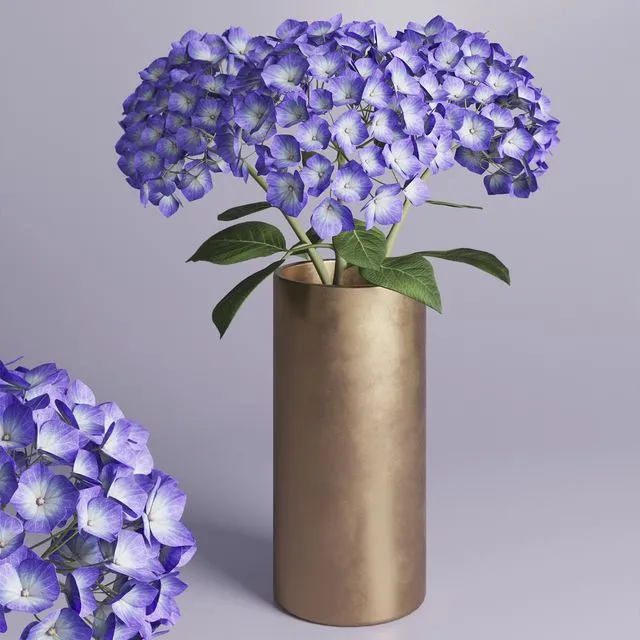 Hydrangea branches in a vase_02 3D Model