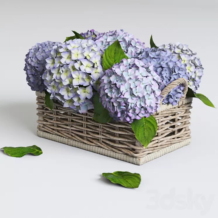 Hydrangea in basket 3D Model