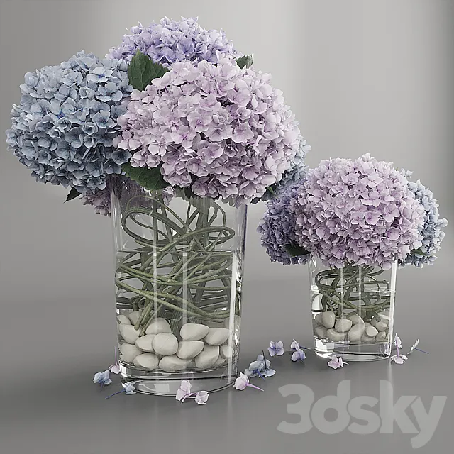 Hydrangea purple blue 3D Model