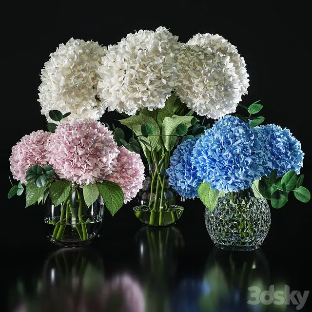 Hydrangea set 001 3D Model