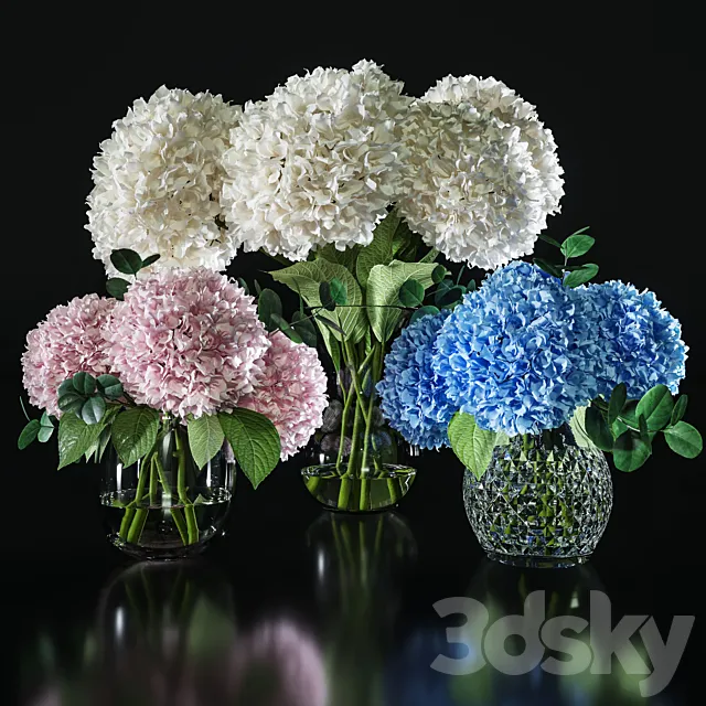 Hydrangea set 001 Free Download