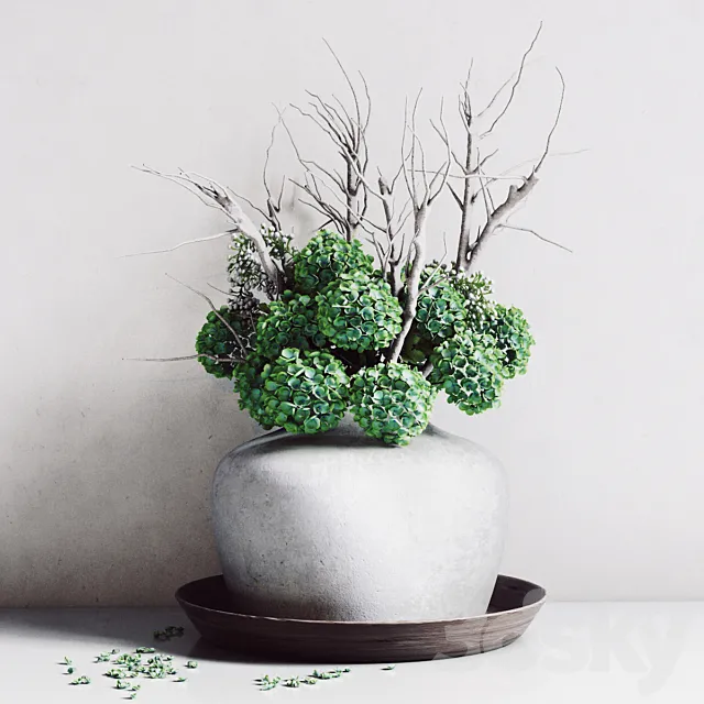 Hydrangea Vase Free Download