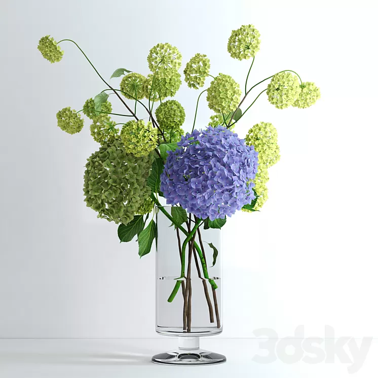 Hydrangeas and Viburnum 3D Model