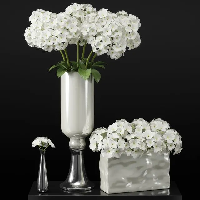 Hydrangeas arrangements-hydrangea 3D Model