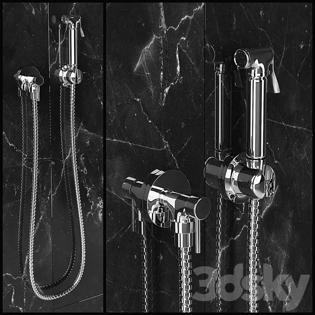 Hygienic shower Daniel Oasis 1000DC 3DModel