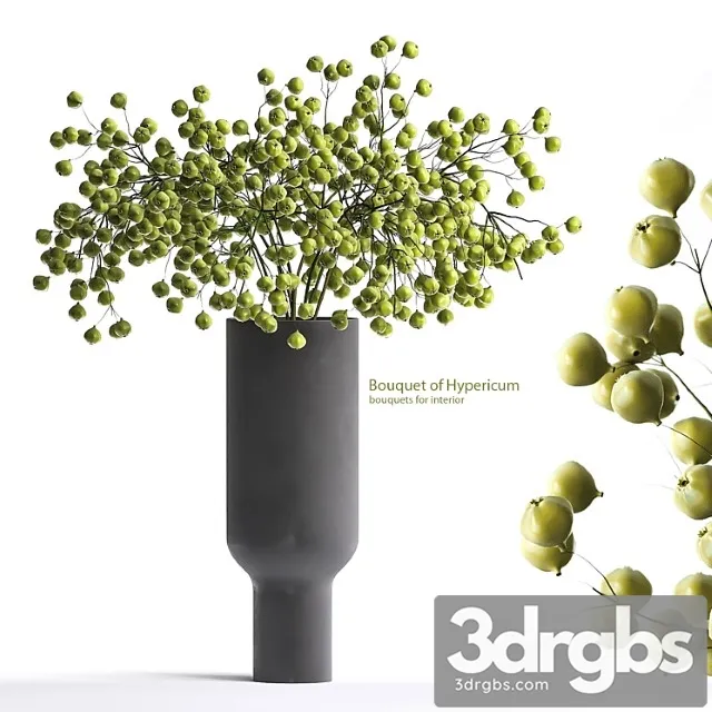 Hypericum Bouquet 3D Model Free