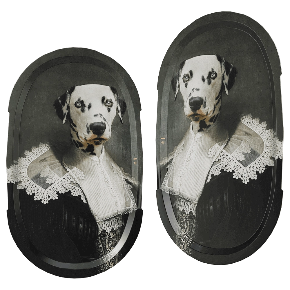 ibride - Tray Sapho size L Ellipse 3D Model