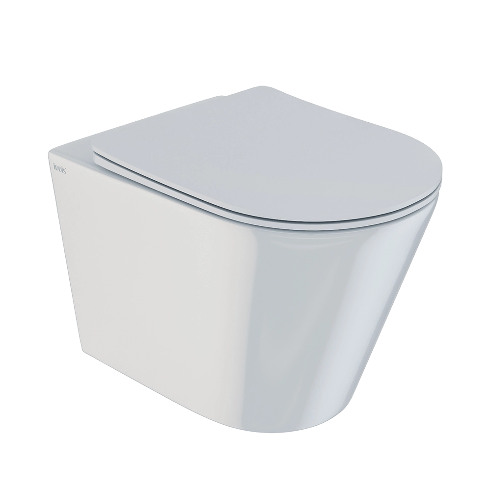 Iddis - Hanging toilet CALRDSEi25 3D Model