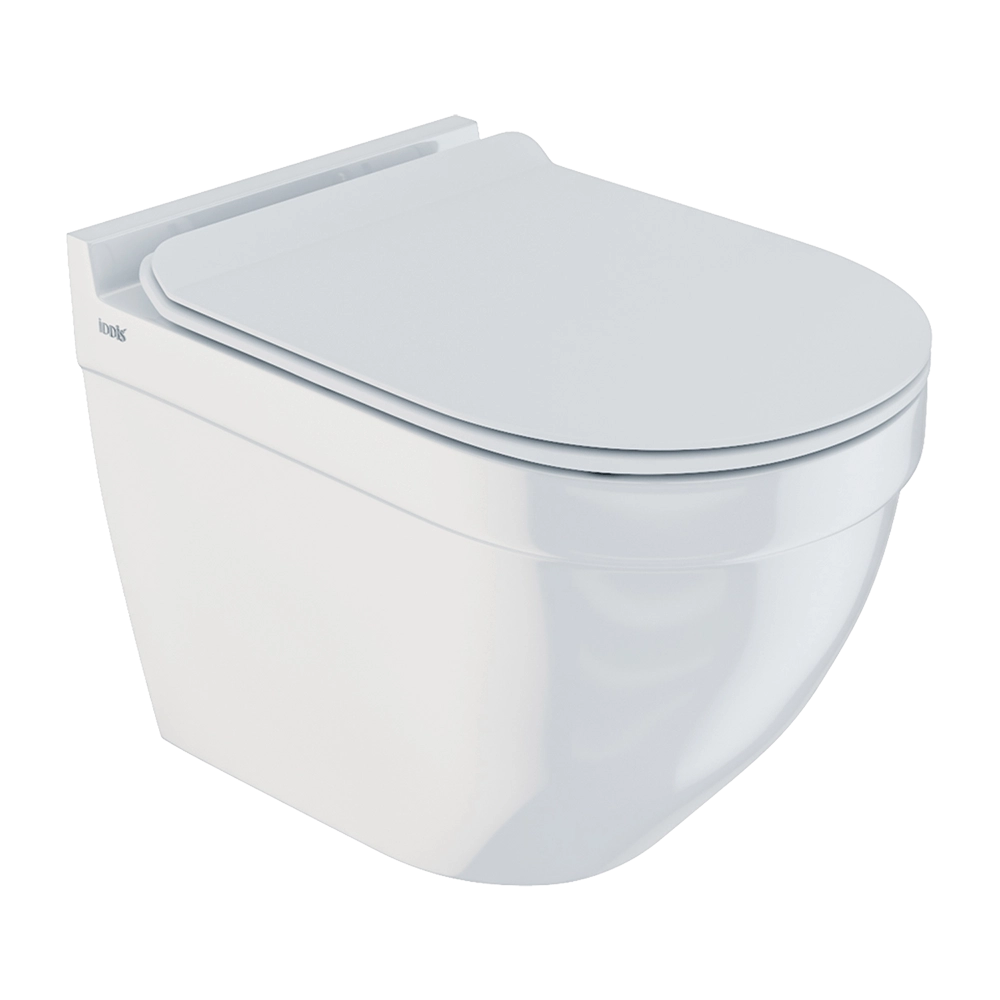 Iddis - Hanging toilet CLORDSEi25 3D Model