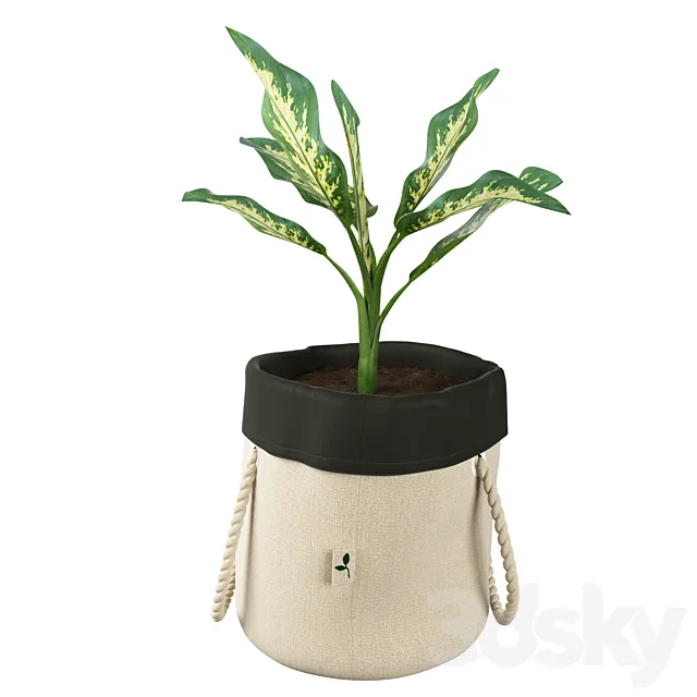 Ikea botanisk dieffenbachia 3D Model