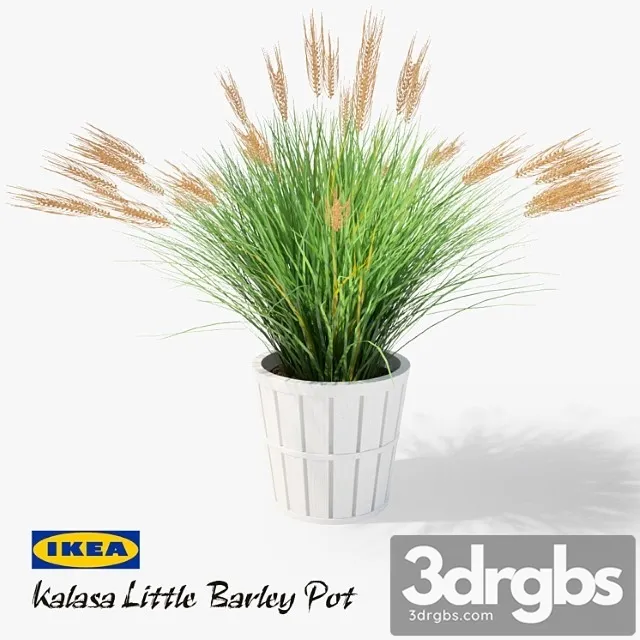 Ikea Kalasa Plant Pot And Little Barley 3D Model Free