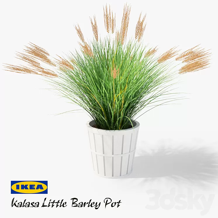 IKEA Kalasa Plant Pot and Little Barley 3D Model