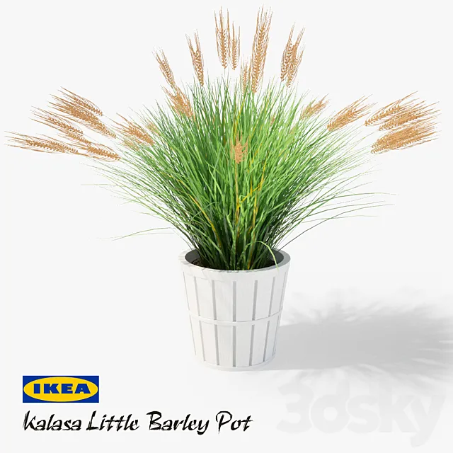IKEA Kalasa Plant Pot and Little Barley 3DModel