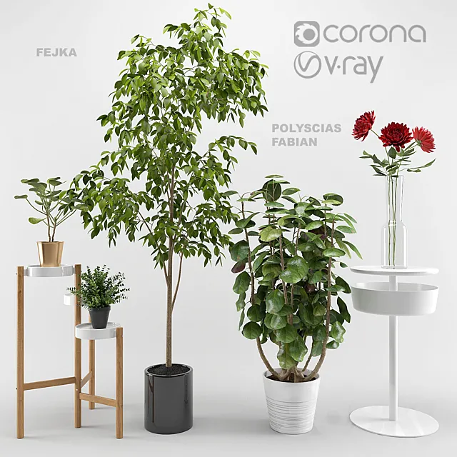 Ikea plants set 3D Model