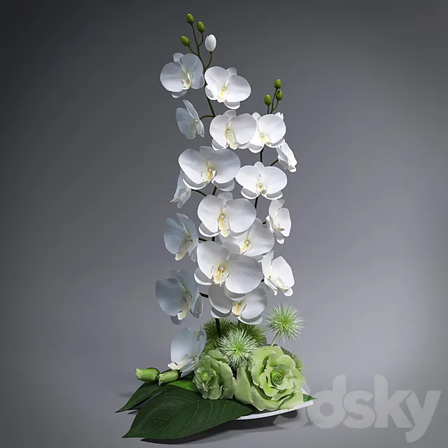 Ikebana with orchids 3D Model