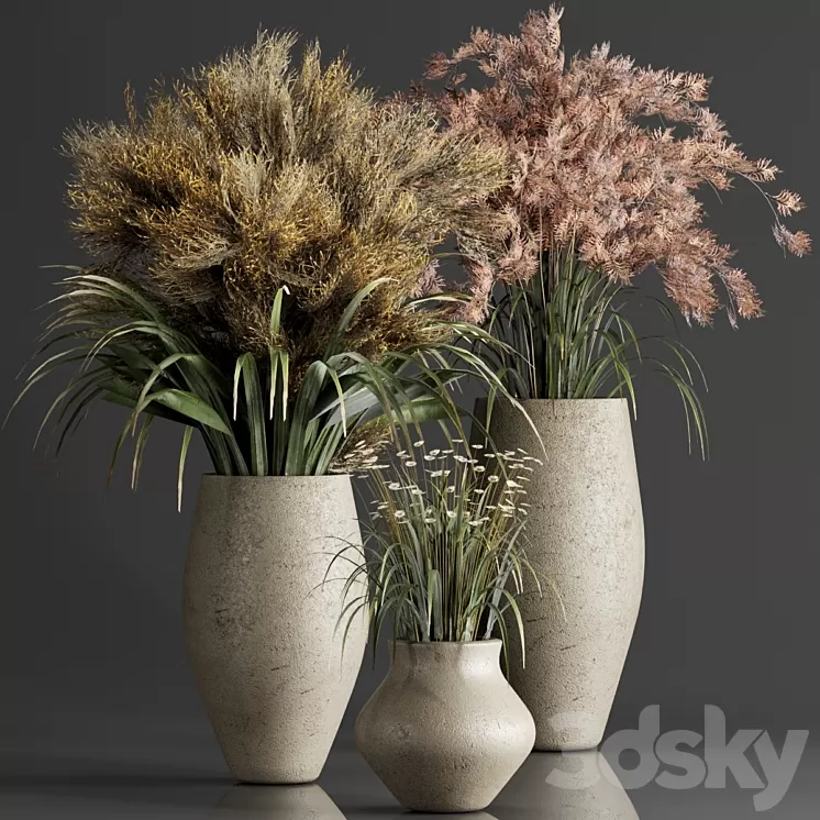 indoor 3 3D Model Free