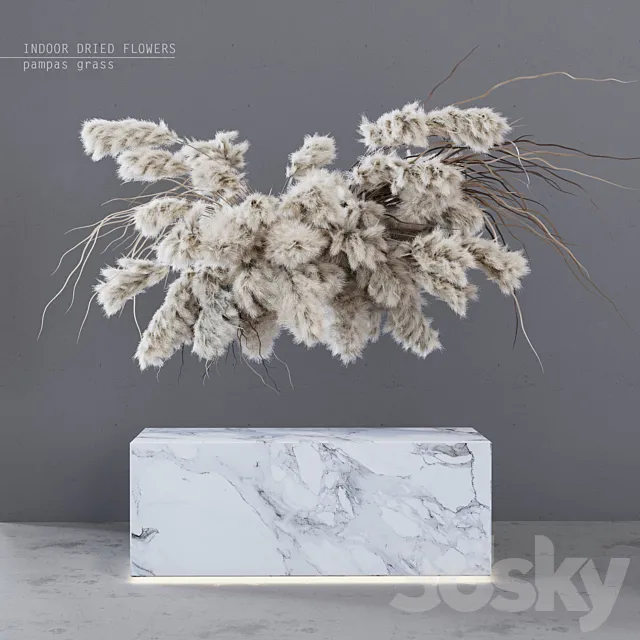INDOOR DRIED FLOWERS _ pampas grass 3DModel