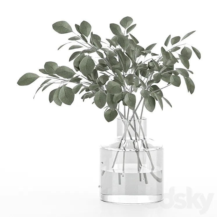 indoor eucalyptus plant in glass vase 3D Model Free