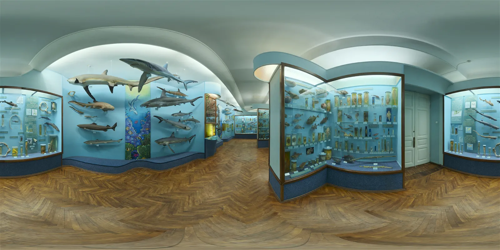 indoor - Hall of Finfish