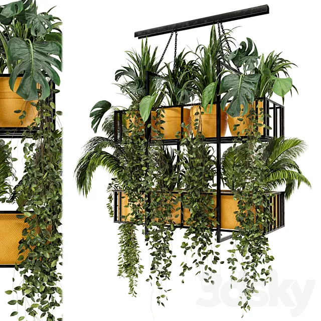 Indoor Hanging Plants in Metal Box - Set 103 3D Model