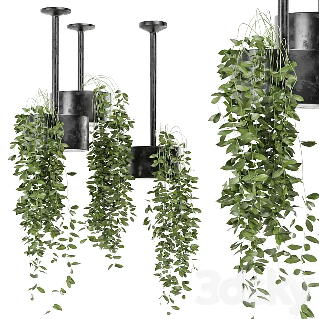 indoor hanging plants in metal box set 134 3D Model
