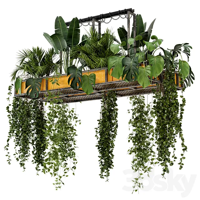 Indoor Hanging Plants in Metal Box - Set 146 3DModel