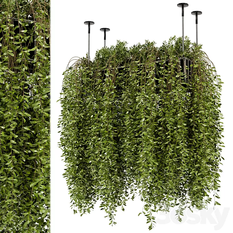 Indoor Hanging Plants in Metal Box - Set 192 3D Model