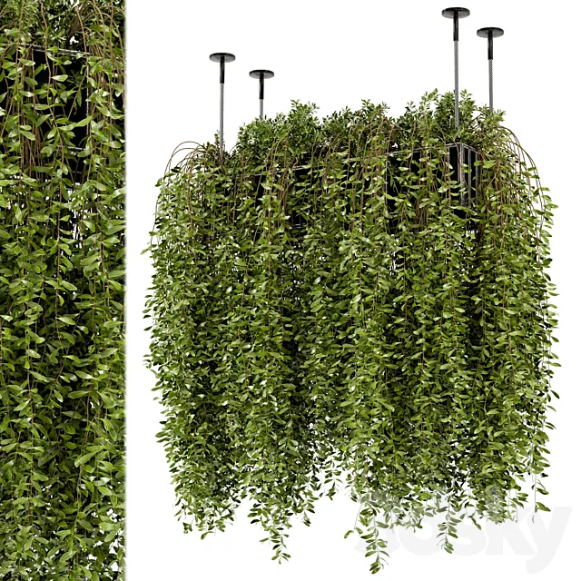 Indoor Hanging Plants in Metal Box - Set 192 3DModel