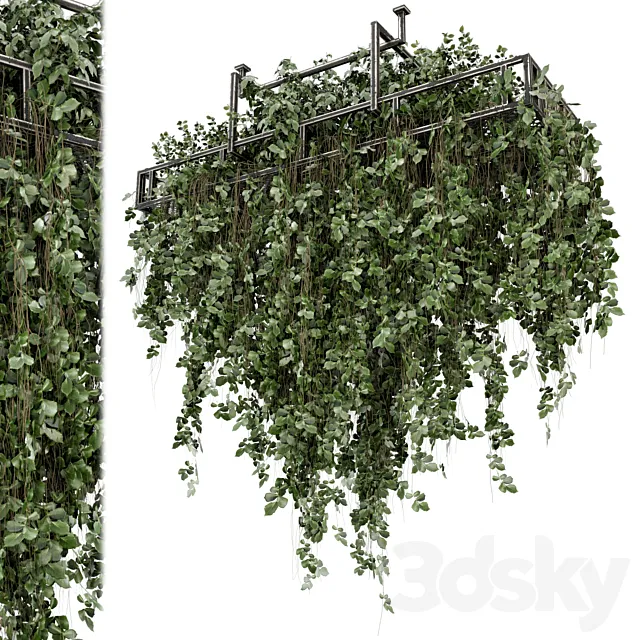 Indoor Hanging Plants in Metal Box - Set 2009 3D Model