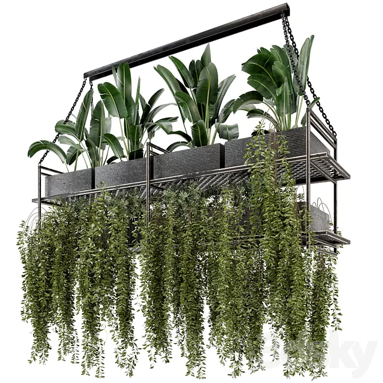 Indoor Hanging Plants in Metal Box - Set 269 3D Model Free