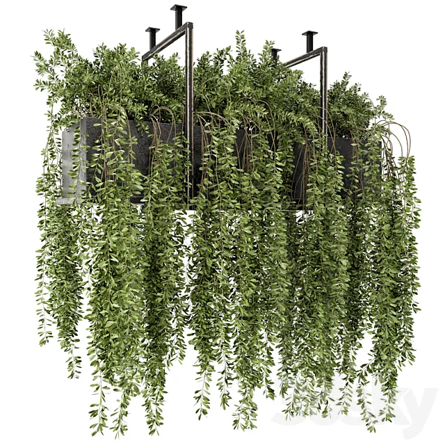 Indoor Hanging Plants in Metal Box - Set 303 3D Model