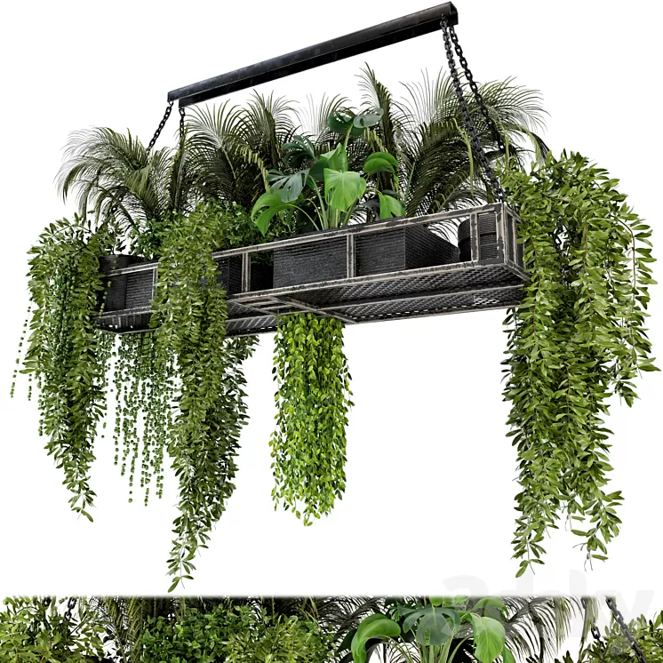 Indoor Hanging Plants in Metal Box - Set 71 3D Model