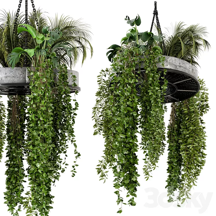 Indoor Hanging Plants in Metal Box - Set 86 3D Model