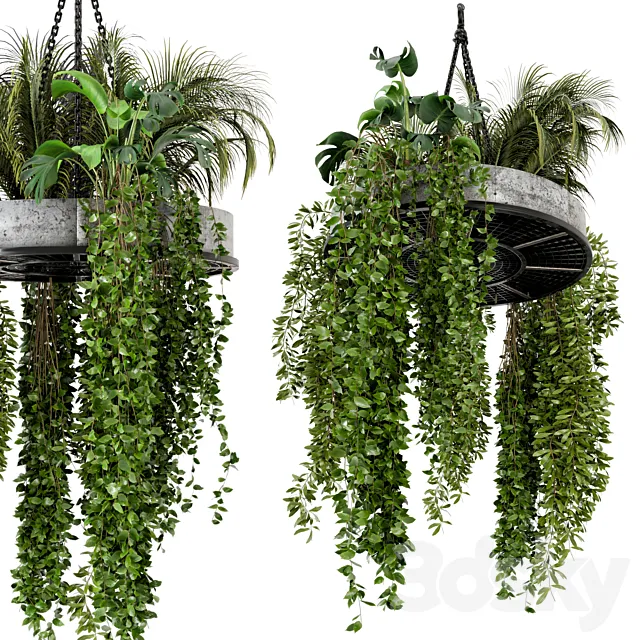 Indoor Hanging Plants in Metal Box - Set 86 3DModel