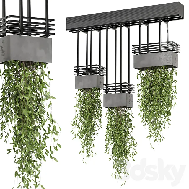 indoor hanging plants in metal box_ - Set 682 3D Model