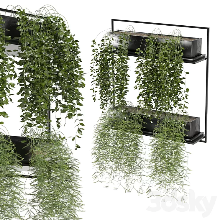indoor hanging plants in metal box_set 142 3D Model Free