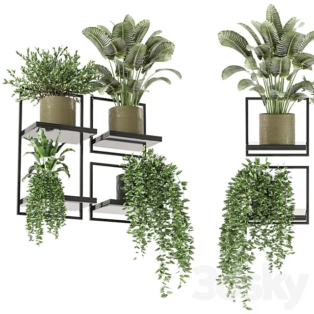 indoor hanging plants in metal box_set 332 3D Model