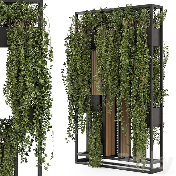 Indoor Hanging Plants in Metal Stand - Set 1005 3D Model Free