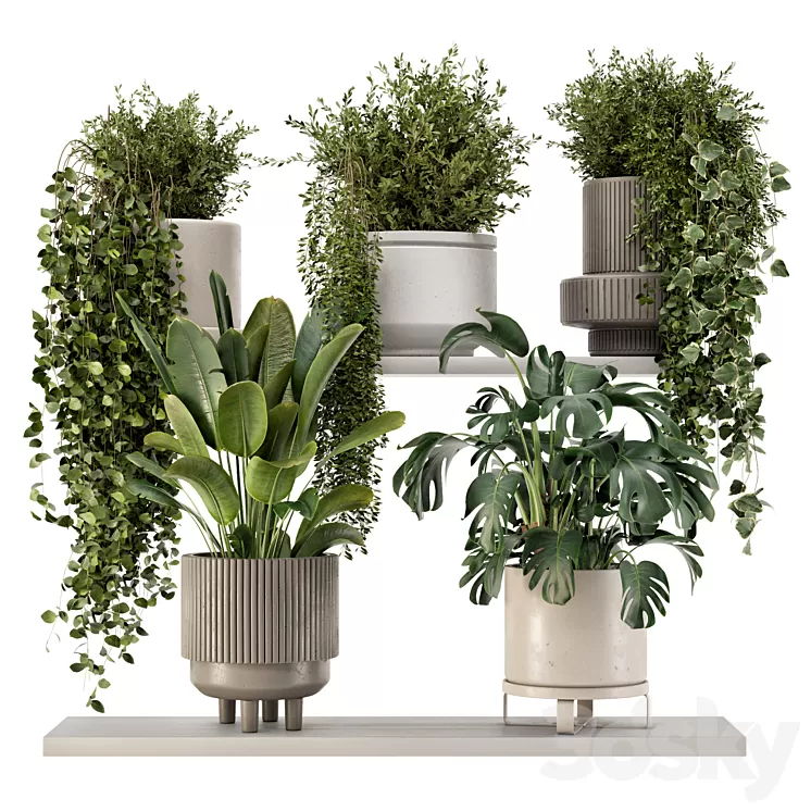 Indoor Hanging Plants in rusty Concrete Pot - Set 909 3D Model Free