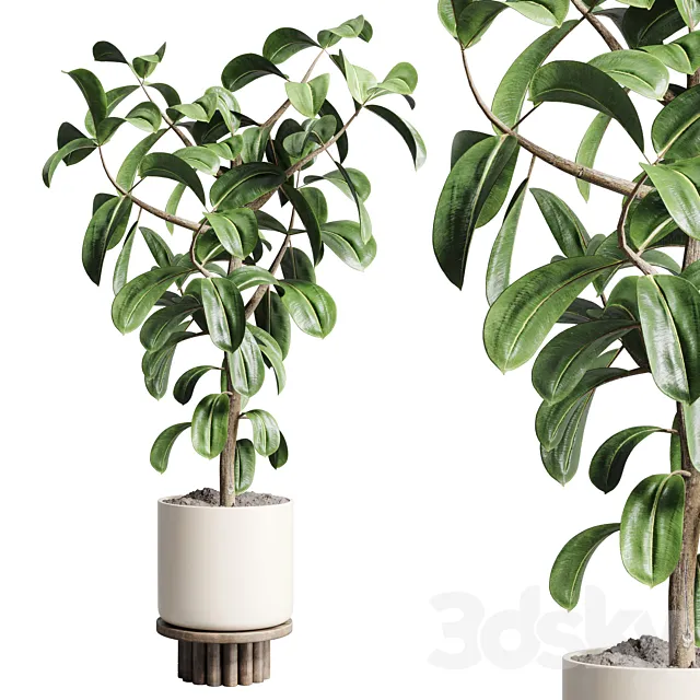 Indoor outdoor plant 106 wood vase pot ficus rubbery 3DModel