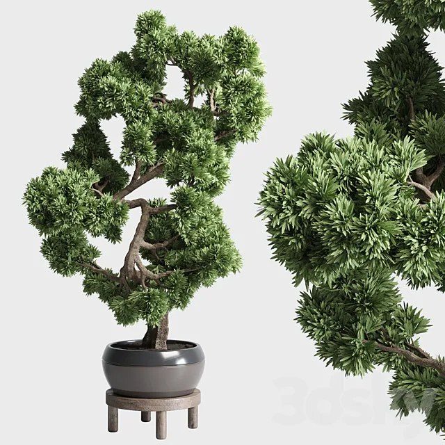 indoor outdoor plants 134 pots tree bonsai 3DModel