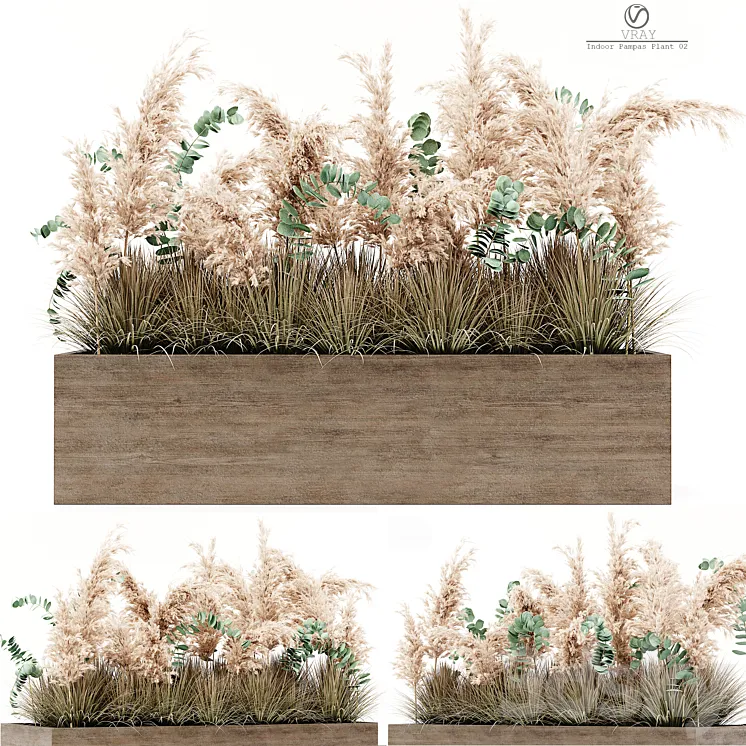 Indoor Pampas Plant 02 3D Model Free