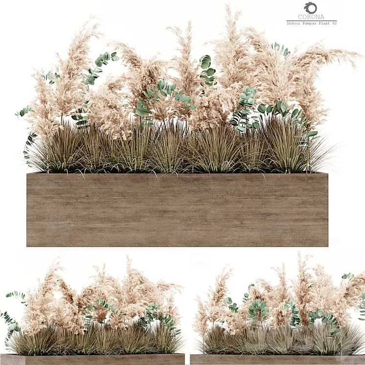 Indoor Pampas Plant 02 3D Model Free