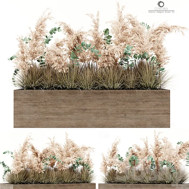 Indoor Pampas Plant 02 3D Model