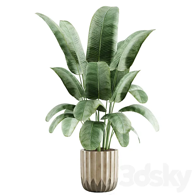 indoor plant 01 3D Model