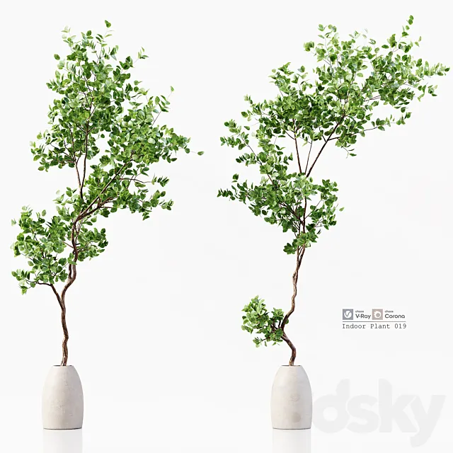 Indoor Plant 019 3D Model