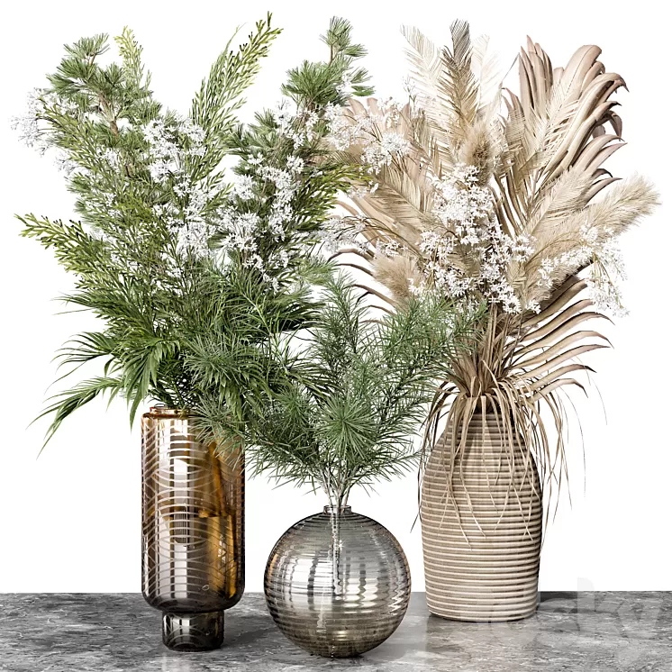 Indoor Plant 04 3D Model Free