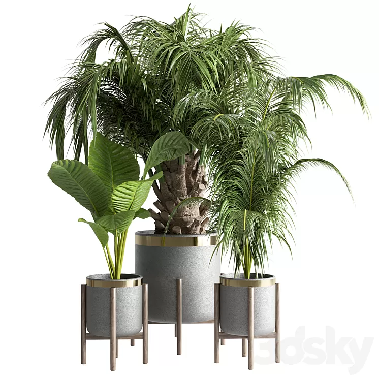 indoor plant 13 3D Model